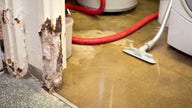 How to clean up a flooded basement, treat mold, according to experts