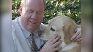 Blind 9/11 survivor explains how guide dog saved him from World Trade Center collapse