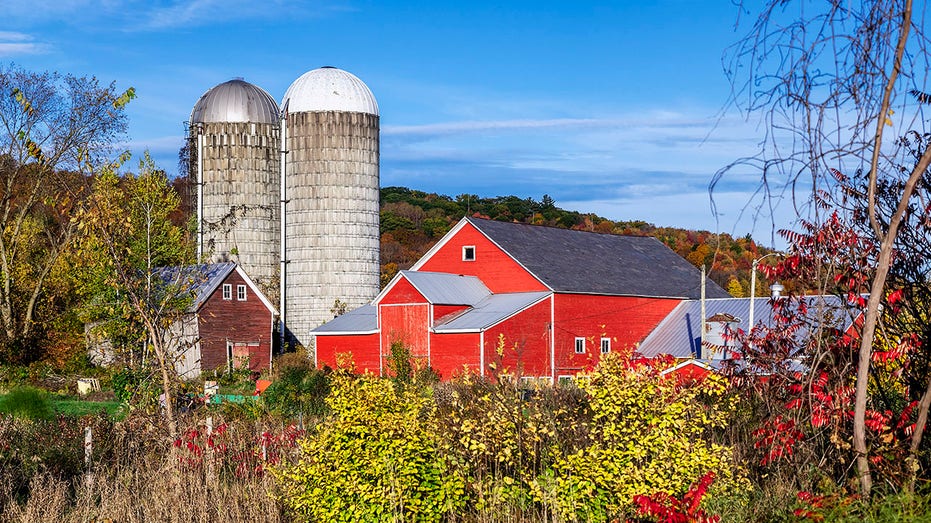 Farm vermont