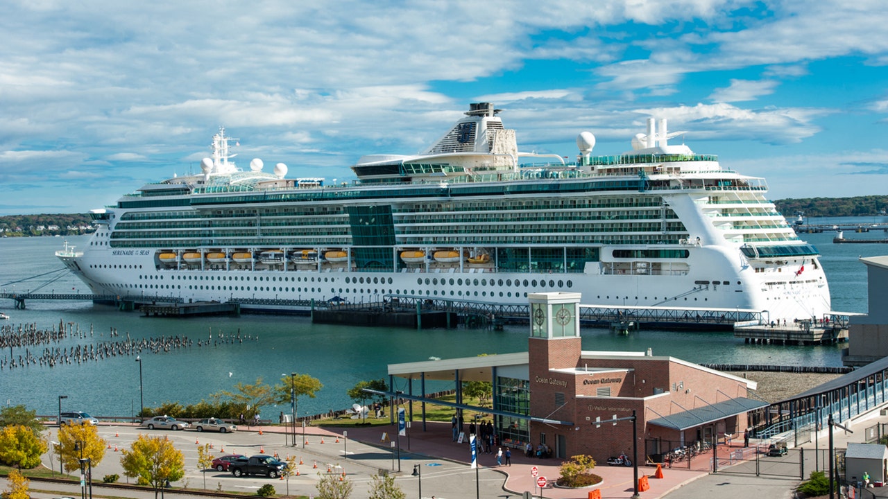 CDC releases new COVID pointers for cruise business