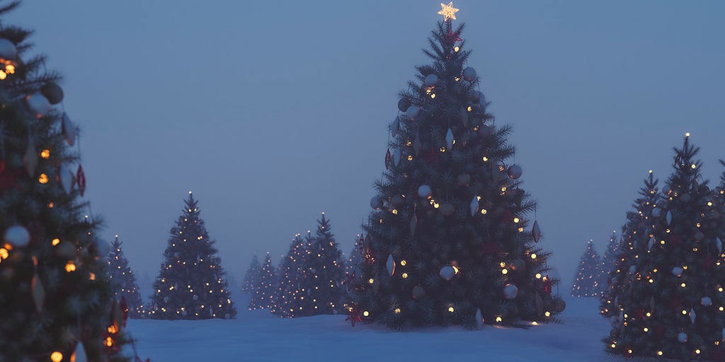 Inflation and shortages dominate Christmas tree shopping this holiday season - Vimarsana News