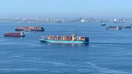 US Coast Guard monitoring 'adrift shipping containers' off Pacific coast amid supply chain crisis