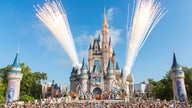 Disney’s theme park price hike nets more profit from fewer visitors: report