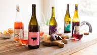 Patagonia joins 'natural wine' and drink trend with big name distilleries