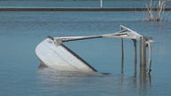 Hurricane Ida leaves Louisiana's $2.4 billon seafood industry in shambles