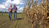 Summer weather still impacting farmers as fall harvest begins