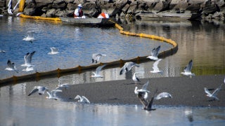 Race is on to limit massive West Coast oil spill, request for disaster declaration