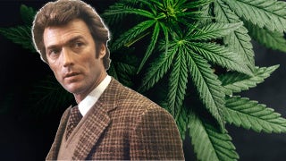 Famed actor wins $6.1 million CBD-related lawsuit