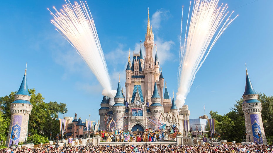 Walt Disney World castle and fireworks