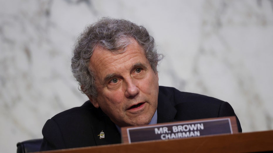 Senate Banking committee chair sherrod brown