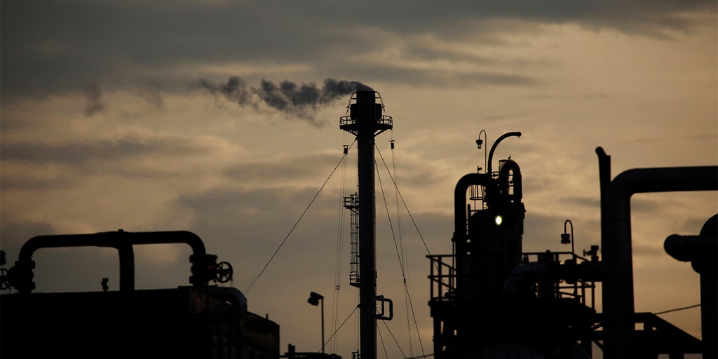 Companies tout 'net-zero' climate targets, but few have credible plans, report finds - Vimarsana News