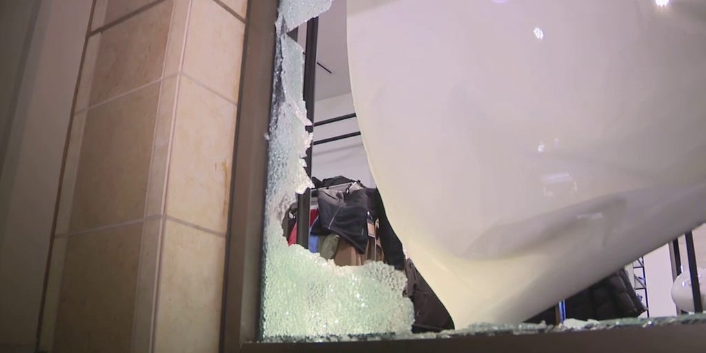 Smash-and-grab crime wave disrupting retail ahead of busy shopping season - Vimarsana News