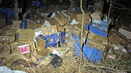 Hundreds of FedEx packages dumped near ravine, Alabama police say