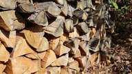 Firewood demand soars amid rising fuel costs