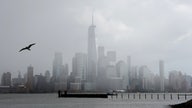 Goldman Sachs CEO warns New York City over high taxes