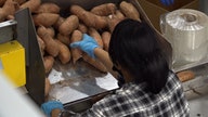 How North Carolina sweet potato farmers are navigating the holidays, pandemic
