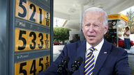 Biden suggests Republicans who criticize him for high gas prices would have Putin roll over Ukraine