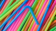New Jersey plastic straw 'request only' rule takes effect as part of new ban