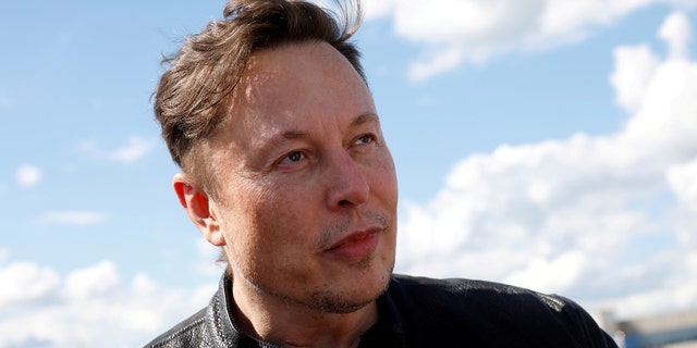 Tesla CEO Elon Musk responded to Rep. Alexandria Ocasio-Cortez, D-N.Y., telling her to "Stop hitting on me."