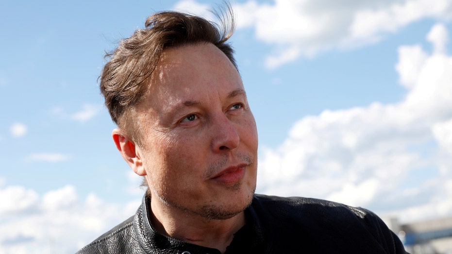 Elon Musk outside