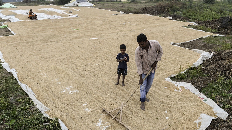 India farmers