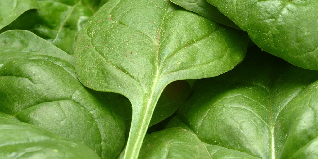 Spinach sold in 7 states recalled over potential listeria contamination - Vimarsana News