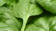 Spinach sold in 7 states recalled over potential listeria contamination