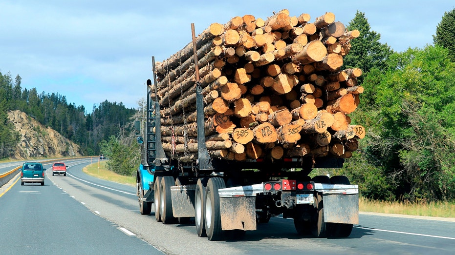 Logging truck hauling load of logs to the mill, This logging truck was traveling on Interstate 90 in western Montana. (Photo by: Don and Melinda Crawford/UCG/Universal Images Group via Getty Images)
