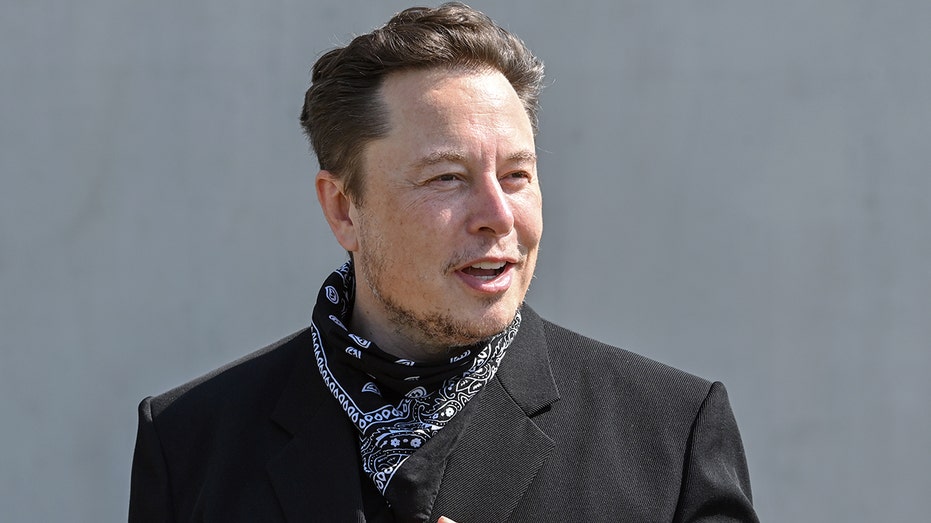 Tesla Elon Musk at a conference