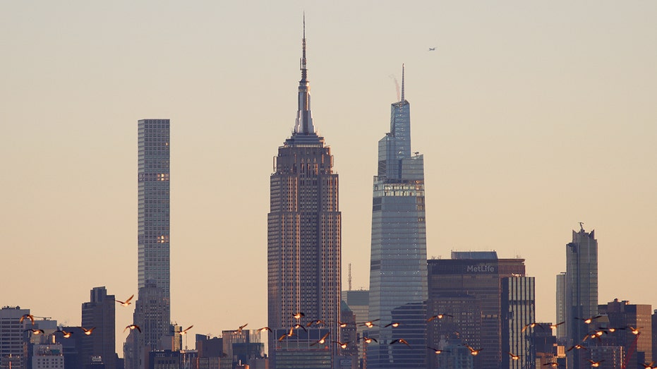 Geese in New York City