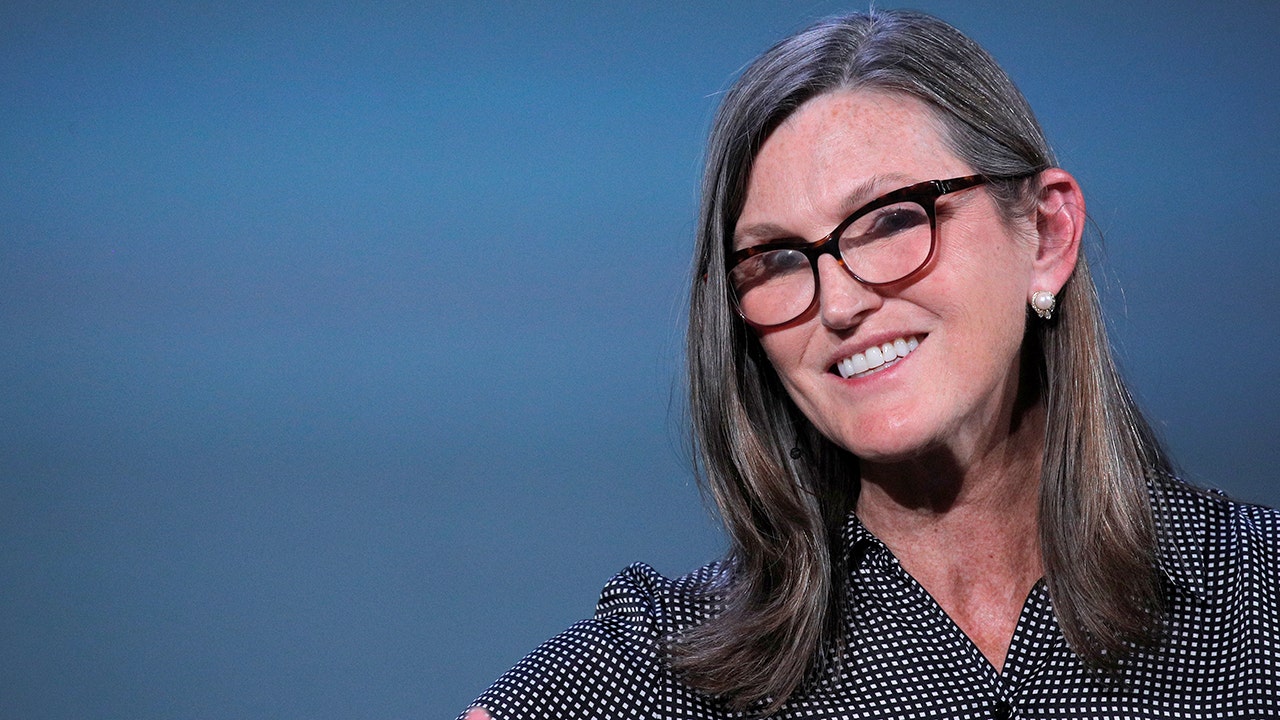 Cathie Wood’s ARK faces loyalty examination soon after tech-stock rout Cathie Wood’s ARK faces loyalty examination soon after tech-stock rout