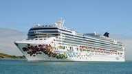 Norwegian cruise ship hit with COVID-19 wave cancels mid-voyage