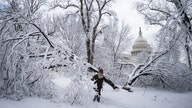 Washington DC area hit with widespread power outages due to winter storm