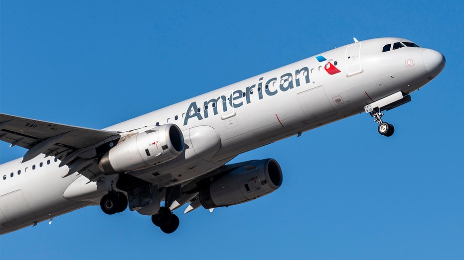 American Airlines plane file photo