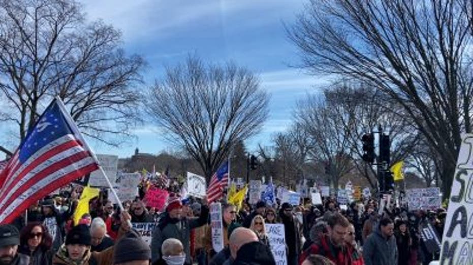 Rally go-ers marched from the Washington Monument to the Lincoln Memorial