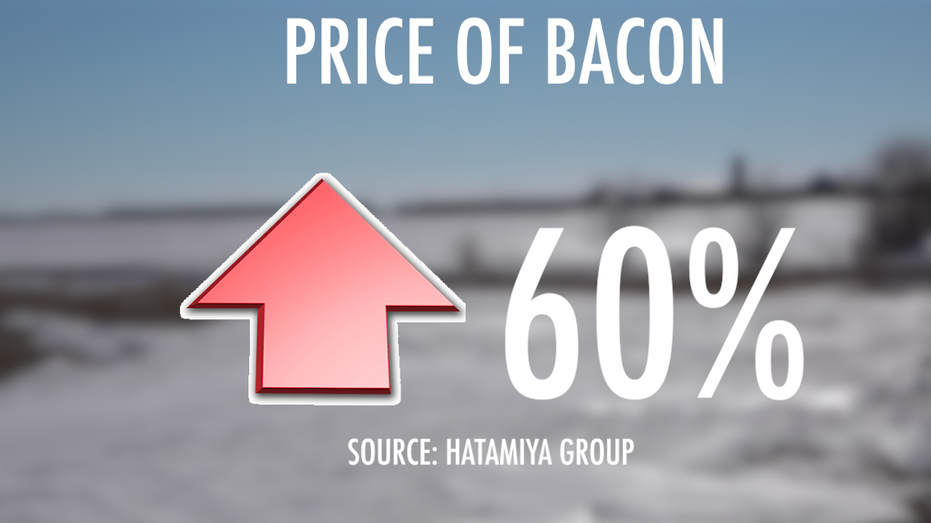 Bacon price