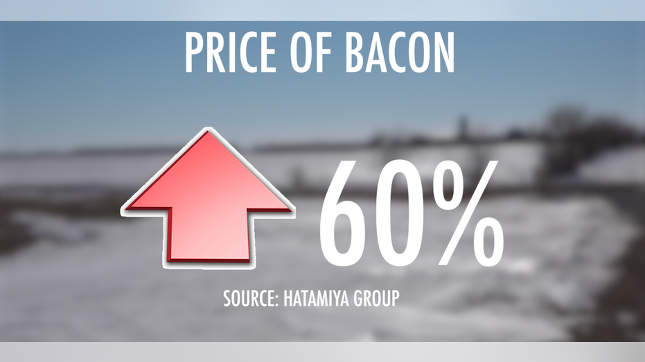 Bacon price