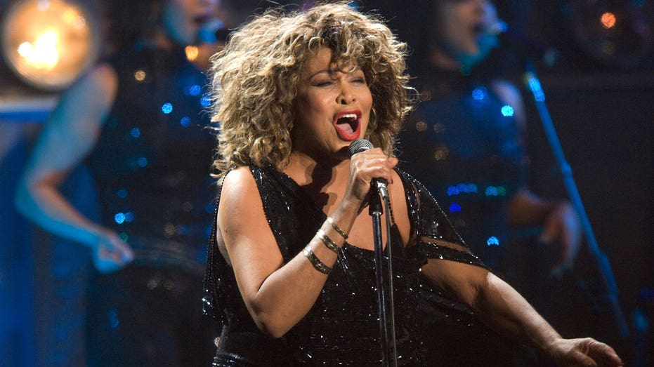 Tina Turner performing on stage