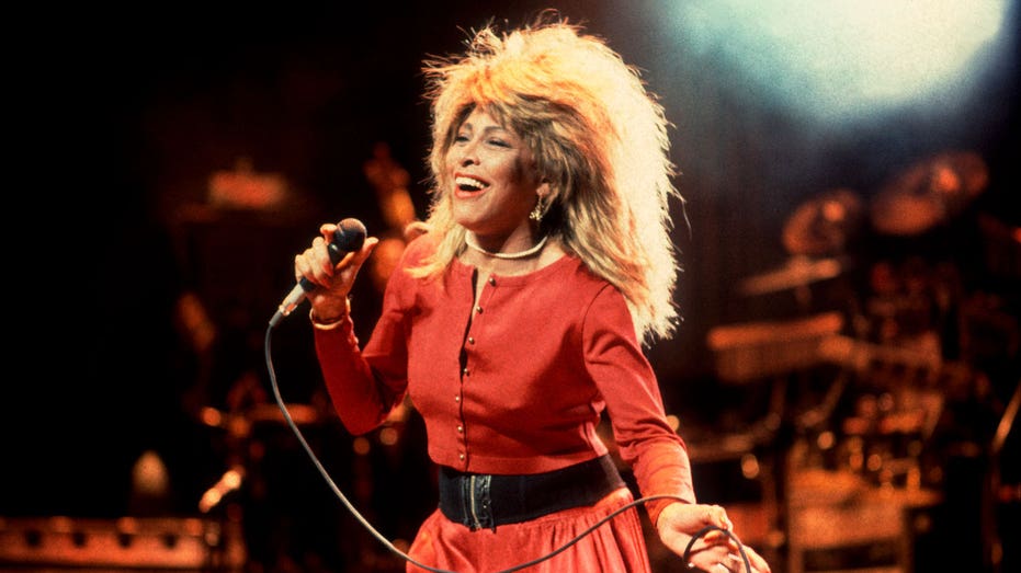 Tina Turner singing