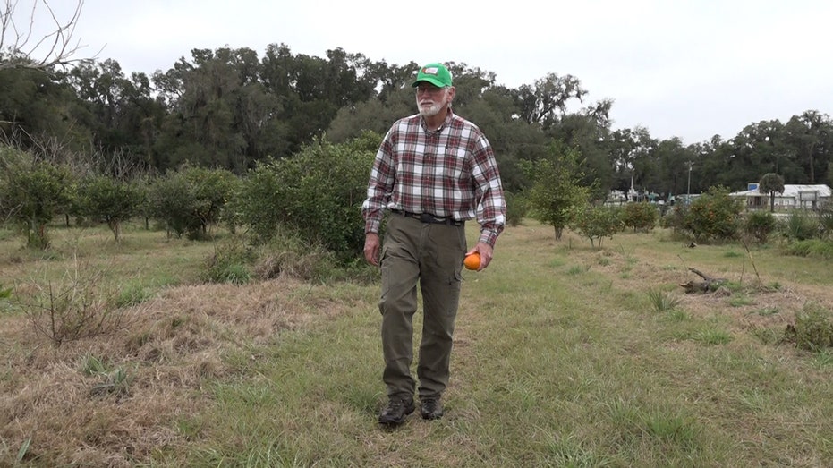 citrus farmer Peter Spyke 