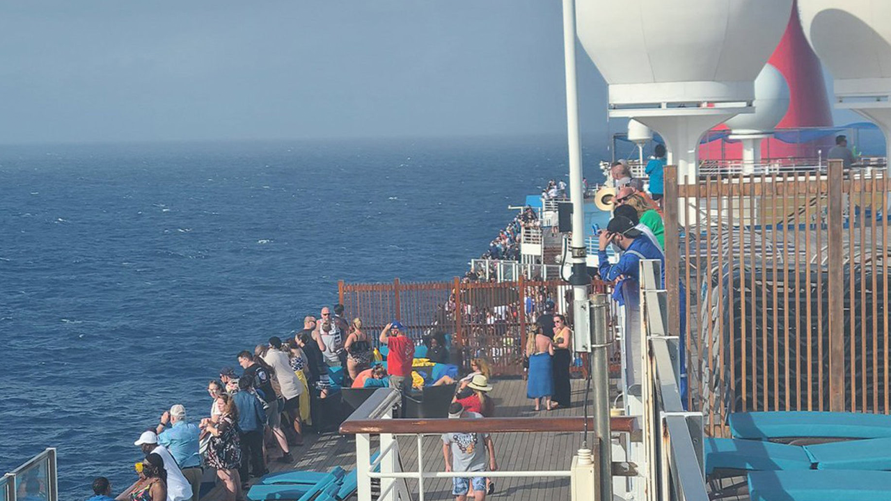 Carnival cruise passenger seen in video moments before reportedly jumping off ship