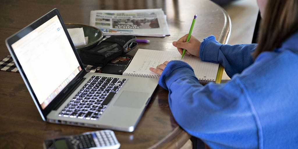 Online learning service preparing kids for the 'real world' sees surge - Vimarsana News