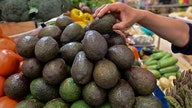 Mexico avocado ban could leave US 'lost' for guacamole