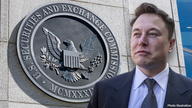 Elon Musk Twitter deal hit with more SEC scrutiny