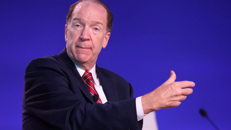 David Malpass World Bank