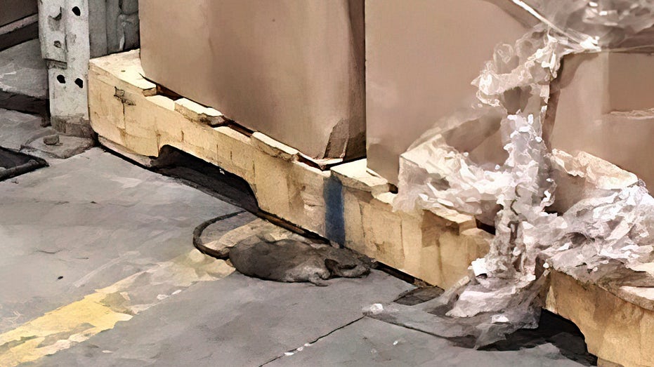 Rats found at Family Dollar