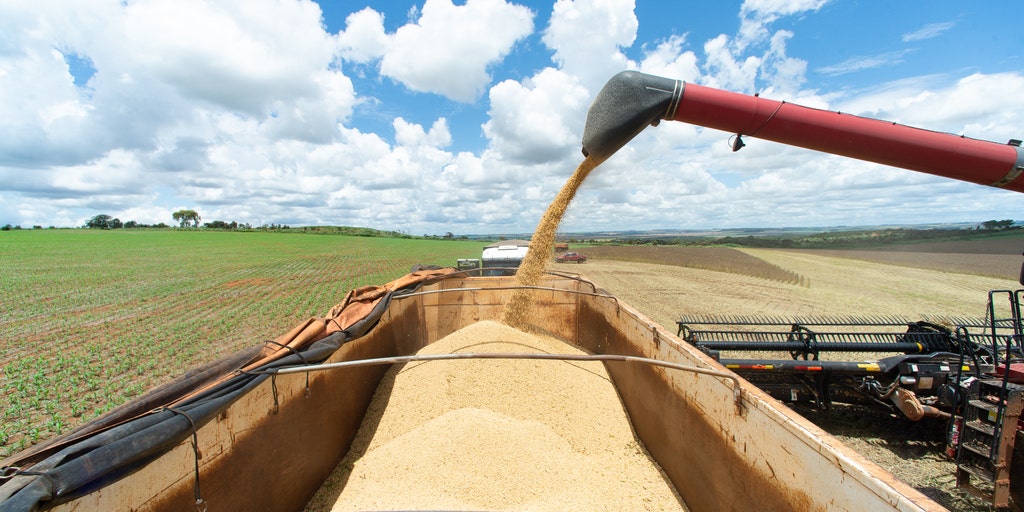 Ukraine war hits farmers as Russia cuts fertilizer supplies, hurting Brazil - Vimarsana News