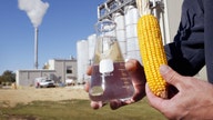 Corn could be the answer to high gas prices
