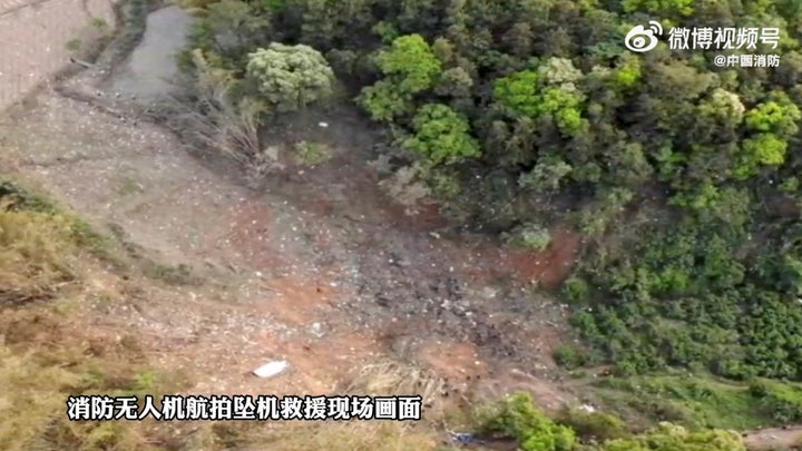 Khu vực rừng, nơi chiếc Boeing 737-800 của Hãng hàng không China Eastern Airlines bị rơi. Ảnh: Reuters.