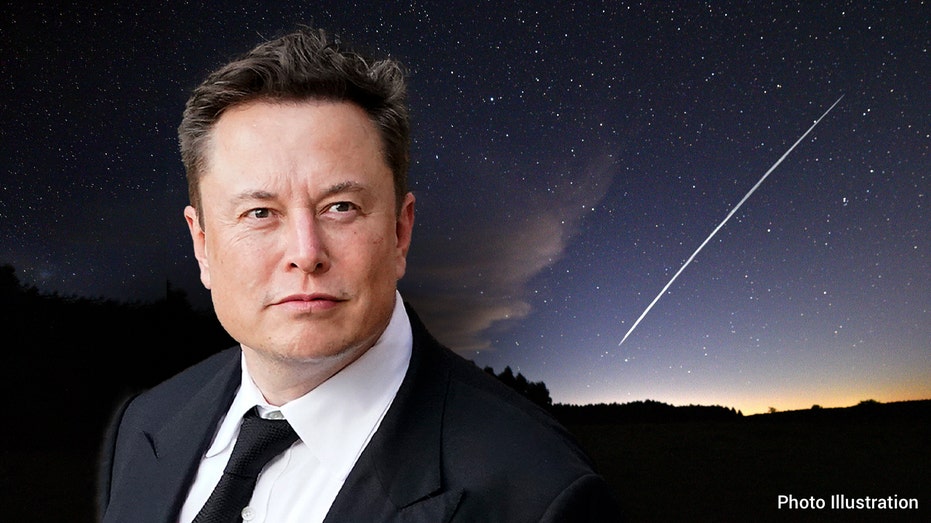 Elon Musk, PDG de SpaceX et Tesla